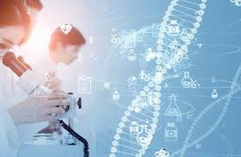 Евгений Горенбург и Владимир Шахрин снимут мюзикл